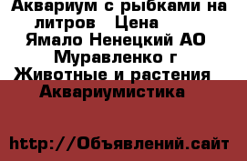 Аквариум с рыбками на 80 литров › Цена ­ 3 000 - Ямало-Ненецкий АО, Муравленко г. Животные и растения » Аквариумистика   
